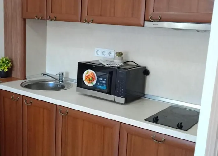 Mountain Paradise 4 - 1 Bedroom - Gondola, 100m Away - Washer 公寓 班斯科