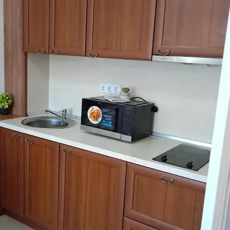 Mountain Paradise 4 - 1 Bedroom - Gondola, 100m Away - Washer Appartement Bansko